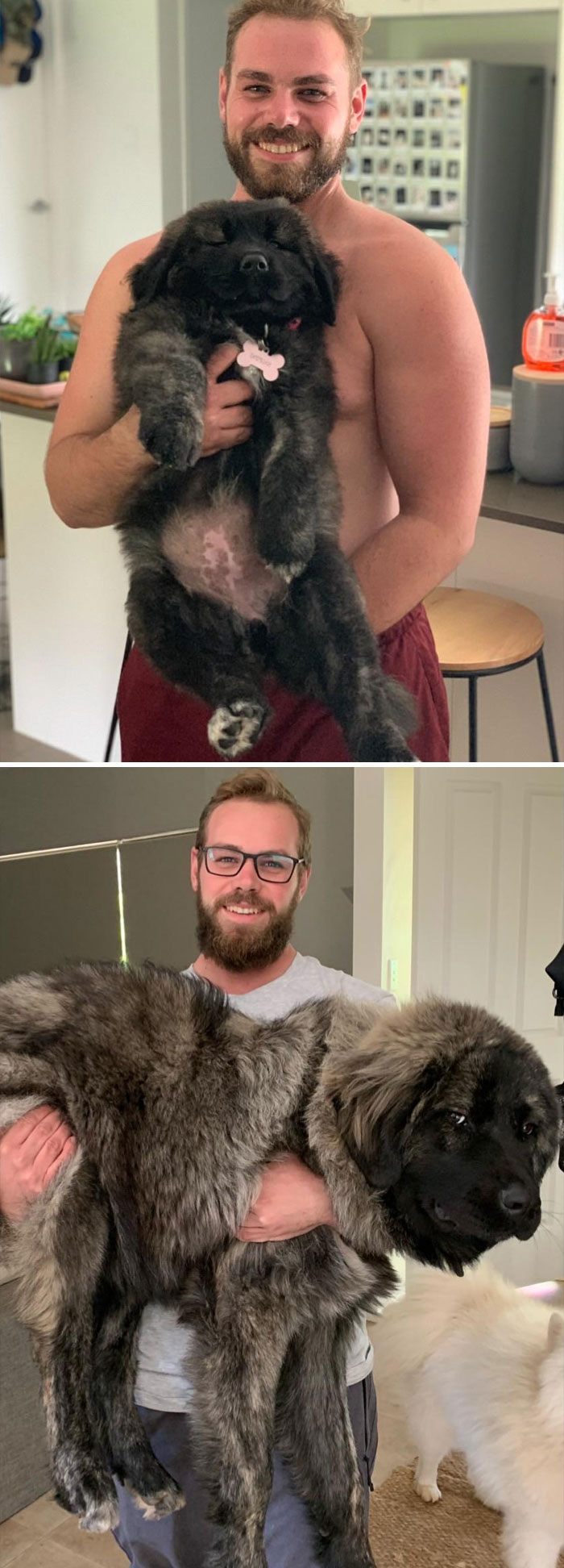 From 12 Weeks To 12 Months