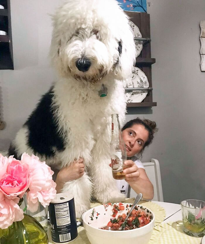 Does This Angle Make My Head Look Big?