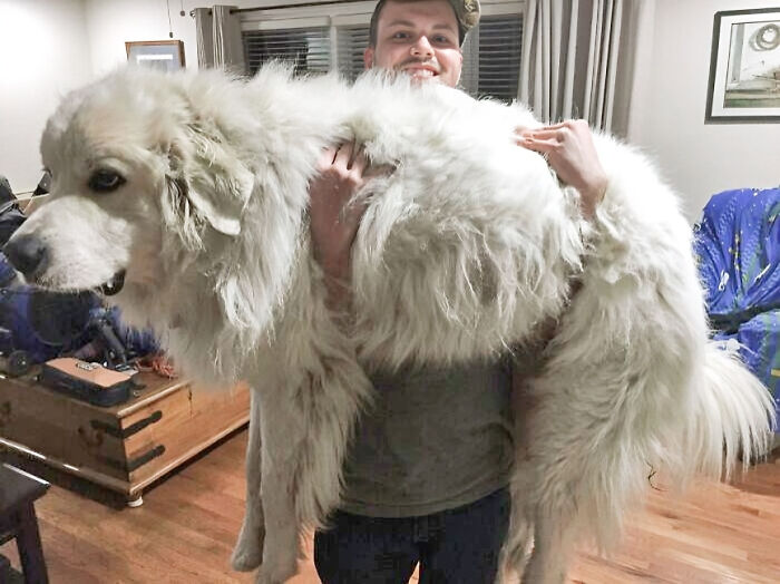 My Brother Picking Up Doug