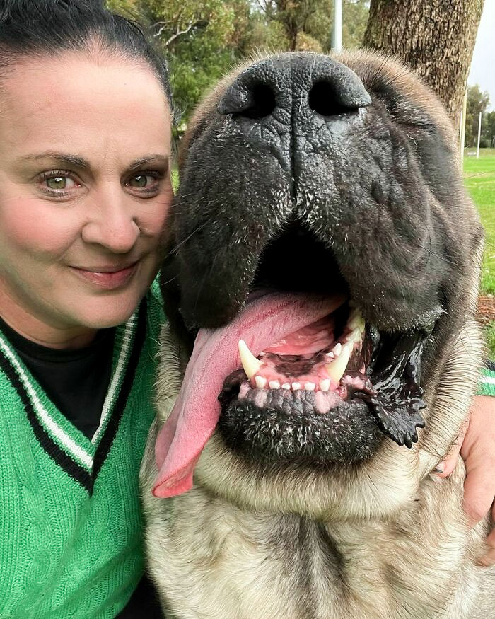 Acabo de volver de vacaciones y no se separa de mi