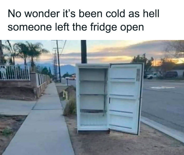 Open fridge on a sidewalk with funny text about the cold, from the Meme Queen Instagram account.
