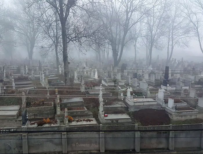 My Hotel View. It's Actually Nice To Have Quiet Neighbors