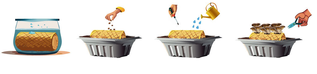 illustration of growing mushrooms on straw bales