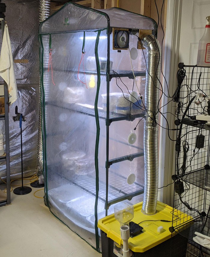 Martha tent in the room