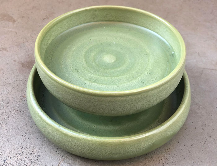 Green ceramic cat food dish designed to keep ants out.