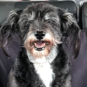 maliadrinksbeer avatar