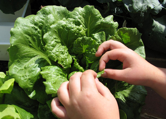 People Are Sharing Industry Secrets From Their Jobs, Here’s 30 Of The Most Surprising Ones