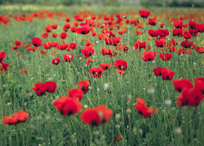 People Are Sharing Industry Secrets From Their Jobs, Here’s 30 Of The Most Surprising Ones