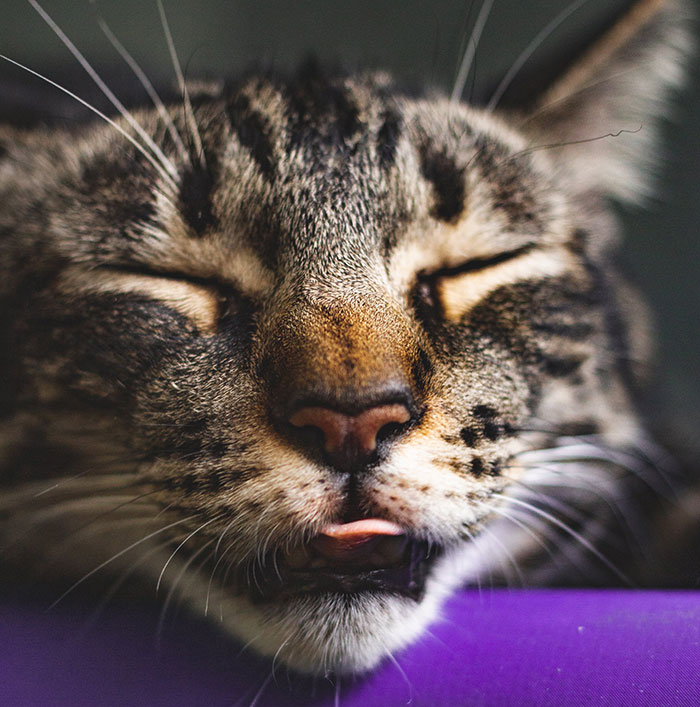 37 Hospital Patients And Staff Share The Wildest Things They've Witnessed