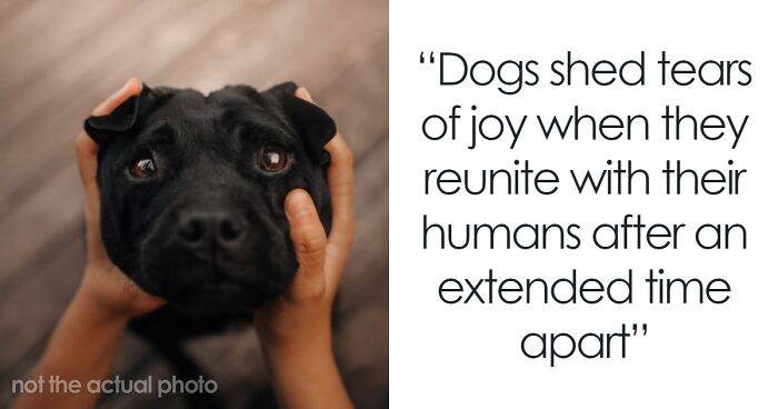 “Did You Know?”: 30 Of The Most Interesting Random Facts About Everything And Anything