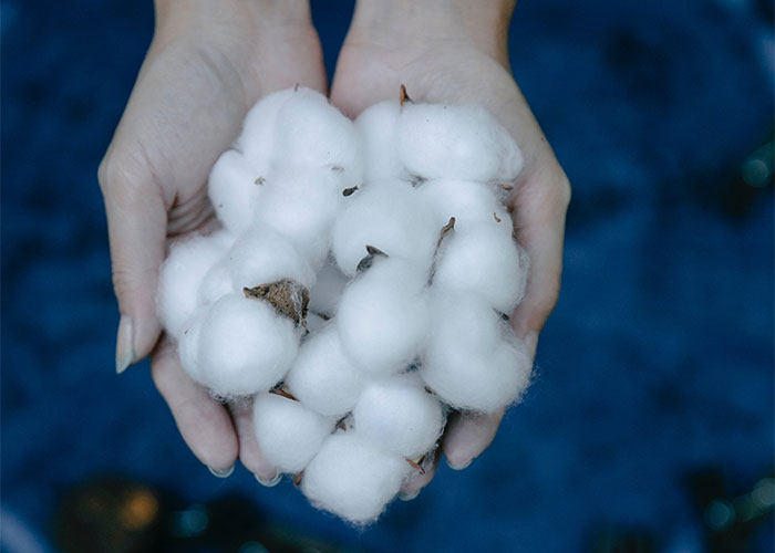 From Bad to Worse: 40 Inventions That Have Backfired On Society