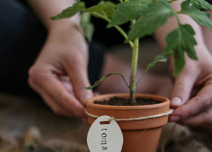 “My Grocery Bill Is Almost Half Of What It Was”: 30 Frugal Habits People Swear By