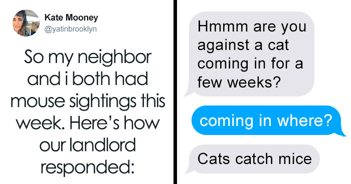 Woman Shares A Hilarious Conversation Between Her And Her Landlord Who Hired A Cat As Pest Control