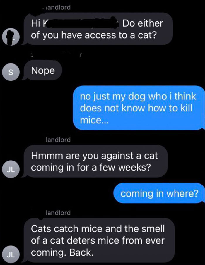 Woman Shares A Hilarious Conversation Between Her And Her Landlord Who Hired A Cat As Pest Control