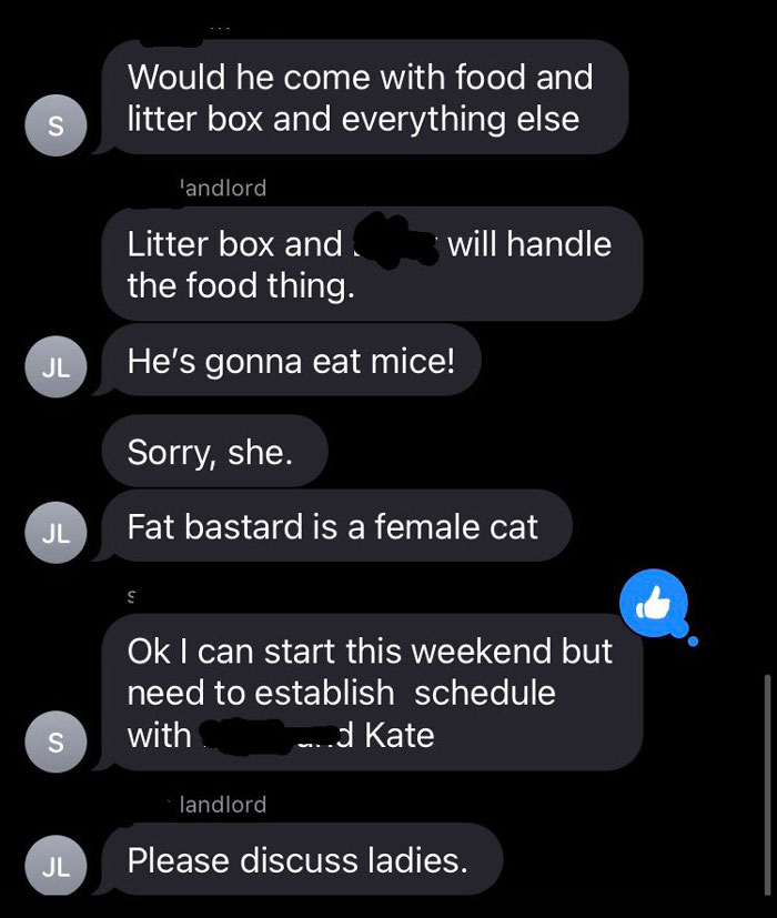Woman Shares A Hilarious Conversation Between Her And Her Landlord Who Hired A Cat As Pest Control