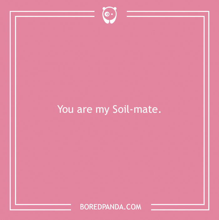 Pink background with the love pun "You are my Soil-mate" in white text, featuring a Bored Panda logo.