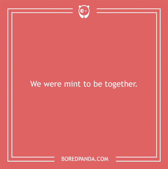 Love pun graphic with text "We were mint to be together" on a red background.