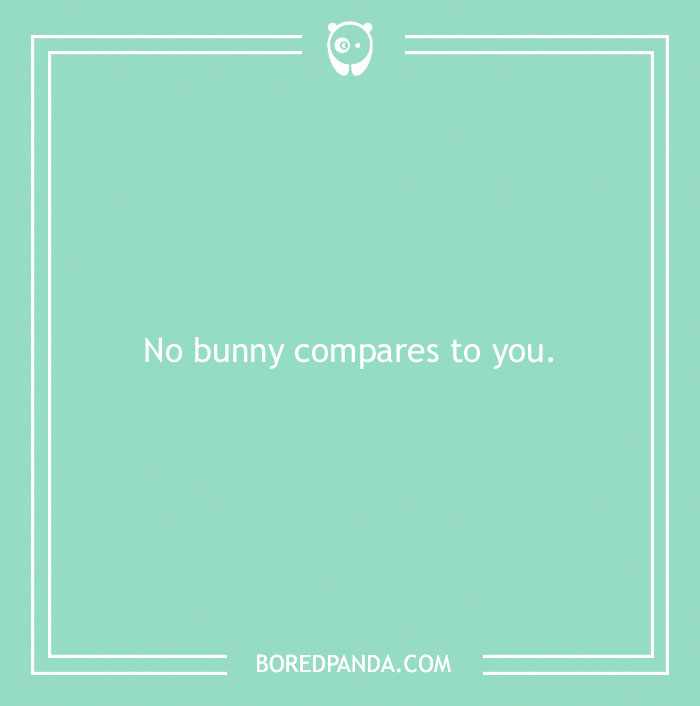 Mint green background with the love pun "No bunny compares to you" in white text.