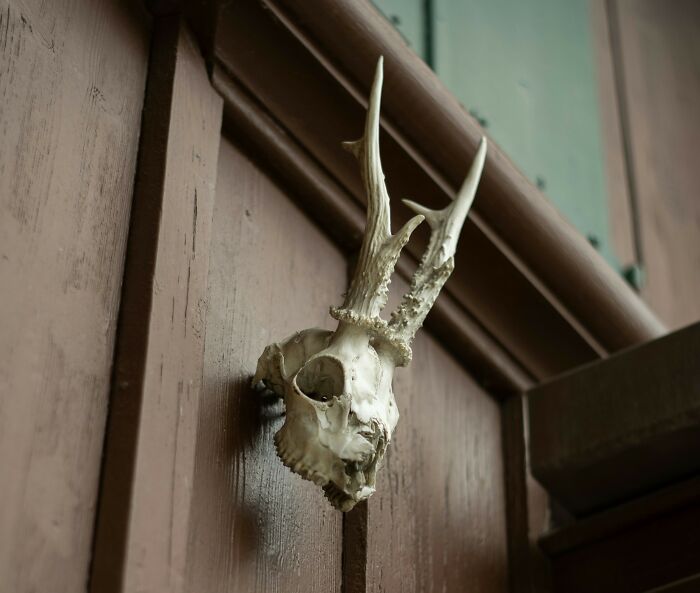 30 Unique Reasons Why Someone Didn't Buy A House, As Shared Online