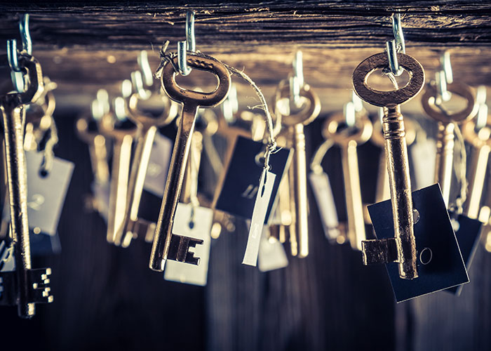 MIL Sells Guy's Skeleton Key Collection To Buy Herself A Phone, He Gets Her Arrested