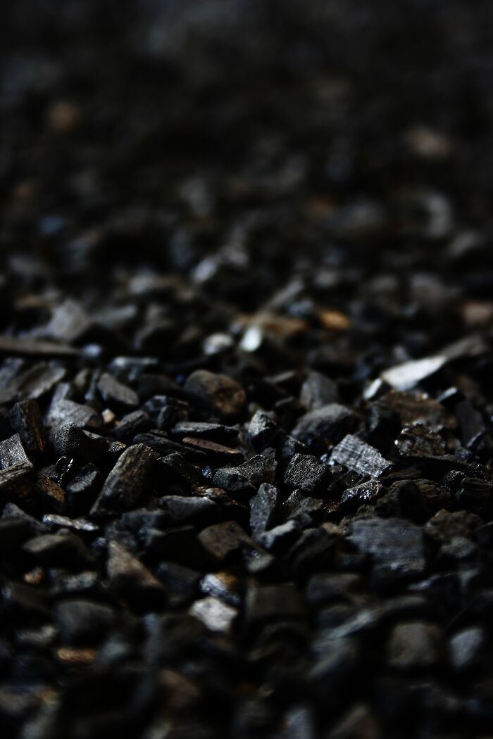 Close-up of black coal pieces on the ground, illustrating trivia-worthy facts about the past in history and natural resources.