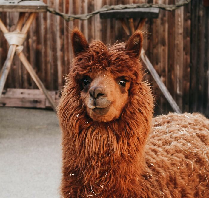 People Online Discuss 32 Punishments That In Reality Are Way More Harsh Than They Sound 