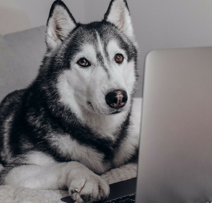 30 Times Job Candidates Were Taken Off Guard By Interview Questions, As Shared Online