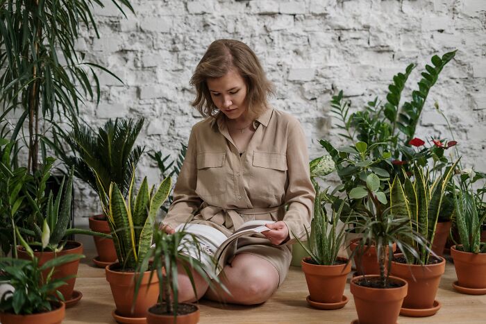 Woman surrounded by potted plants, sitting cross-legged on the floor, reading advice about life and growth.