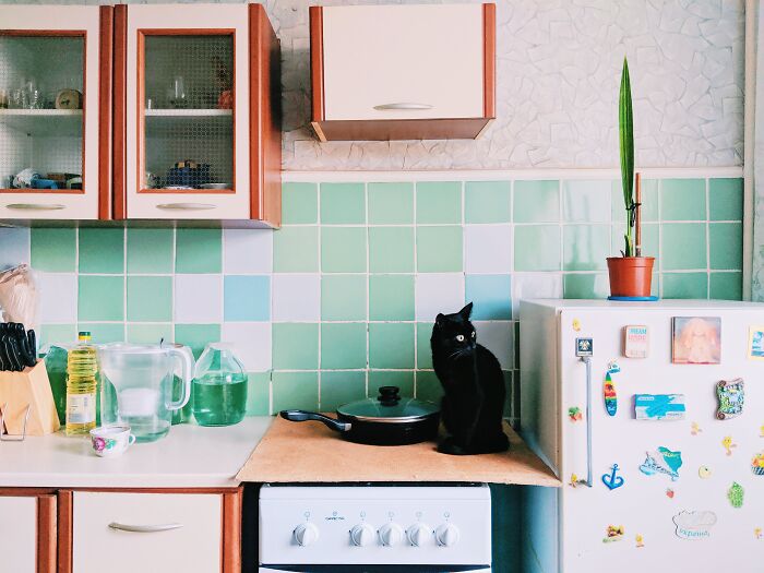 Kitchen scene with a black cat, colorful tiled backsplash, and various items, illustrating advice people tried skeptically.