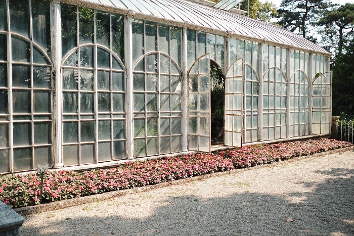 Sunlit greenhouse with open doors and a flower bed, illustrating unexpected advice people decided to try.