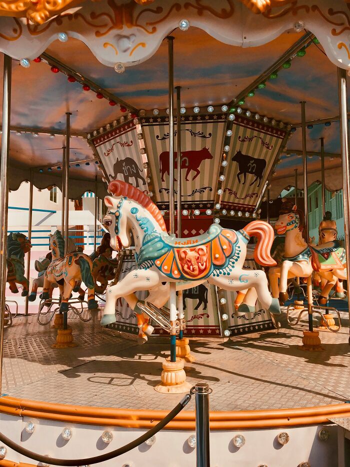 PETA Demands Carousel-Maker To End Animal Designs As They "Unintentionally" Celebrate Exploitation