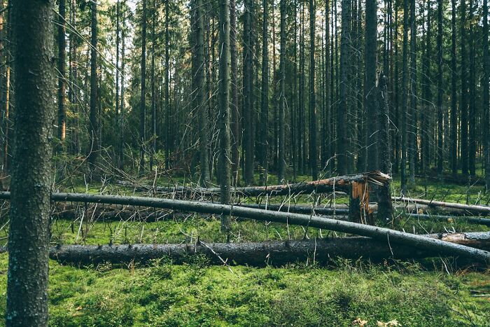 Folks Share The Most Disturbing Things They’ve Seen While Camping And Here Are 30 Of The Scariest
