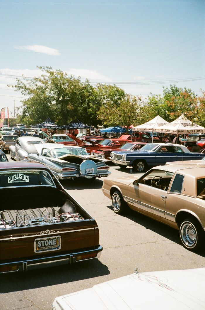 Classic cars gathered in a sunny parking lot during a vintage car show showcasing trivia-worthy facts about the past.