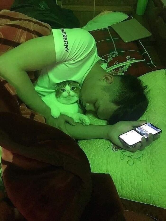 Funny-Unusual-Animal-Pics