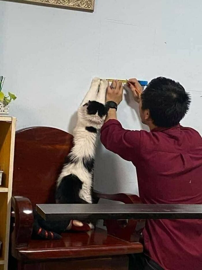 Funny-Unusual-Animal-Pics