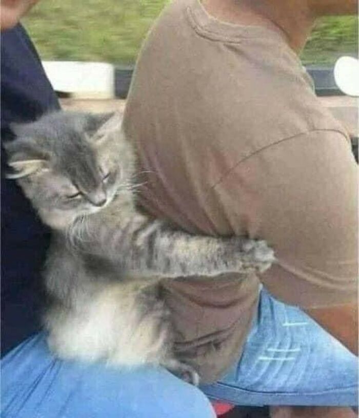 Funny-Unusual-Animal-Pics