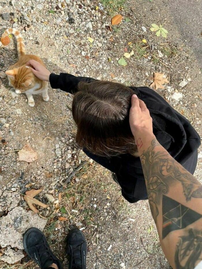 Funny-Unusual-Animal-Pics