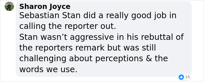 “Well Done, Words Hurt”: Fans Are Praising “Captain America” Sebastian Stan For Defending Costar “Well Done, Words Hurt”: Fans Are Praising “Captain America” Sebastian Stan For Defending Costar