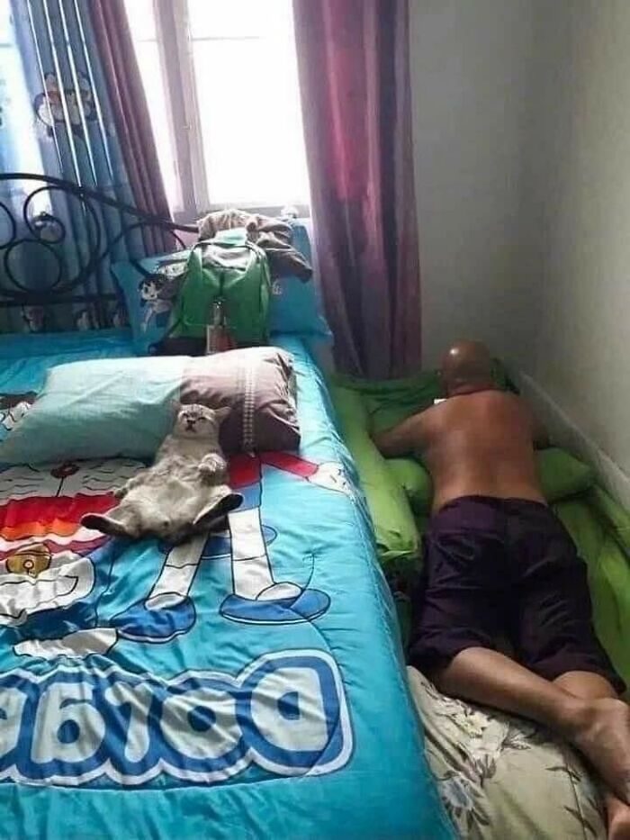 Funny-Unusual-Animal-Pics