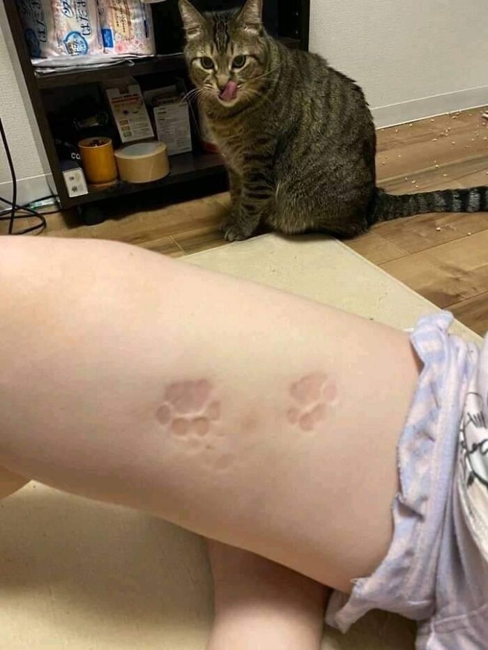 Funny-Unusual-Animal-Pics