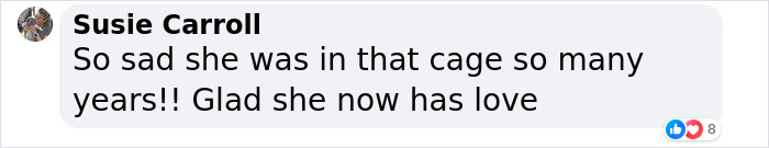 Shelter Dog Was Overlooked For Almost A Decade Until She Found Her Person