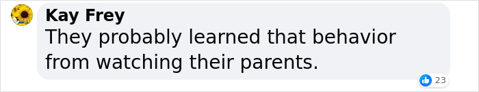 People Blaming Gen-Z&rsquo;s &ldquo;Lack Of Discipline&rdquo; For Controversial Incident With SeaWorld Mime