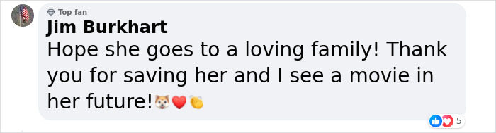 Saved After 8 Days In A Shipping Container, Connie The Dog Is Revealed To Be Expecting Saved After 8 Days In A Shipping Container, Connie The Dog Is Revealed To Be Expecting