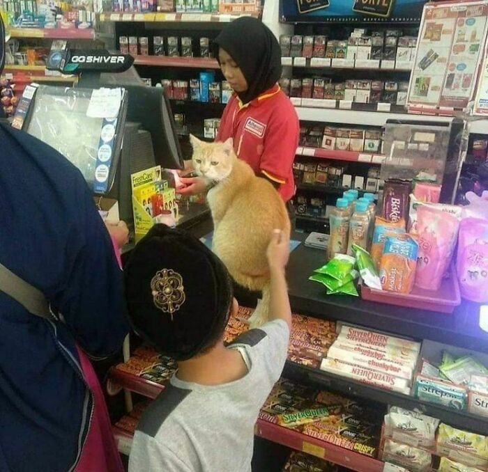 Funny-Unusual-Animal-Pics