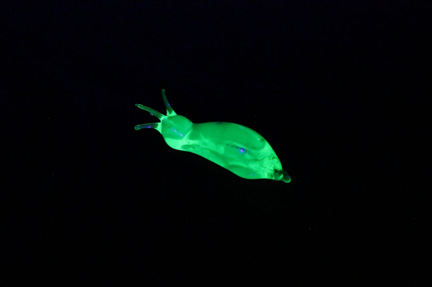 I Made Figurines Out Of Uranium Glass (24 Pics)