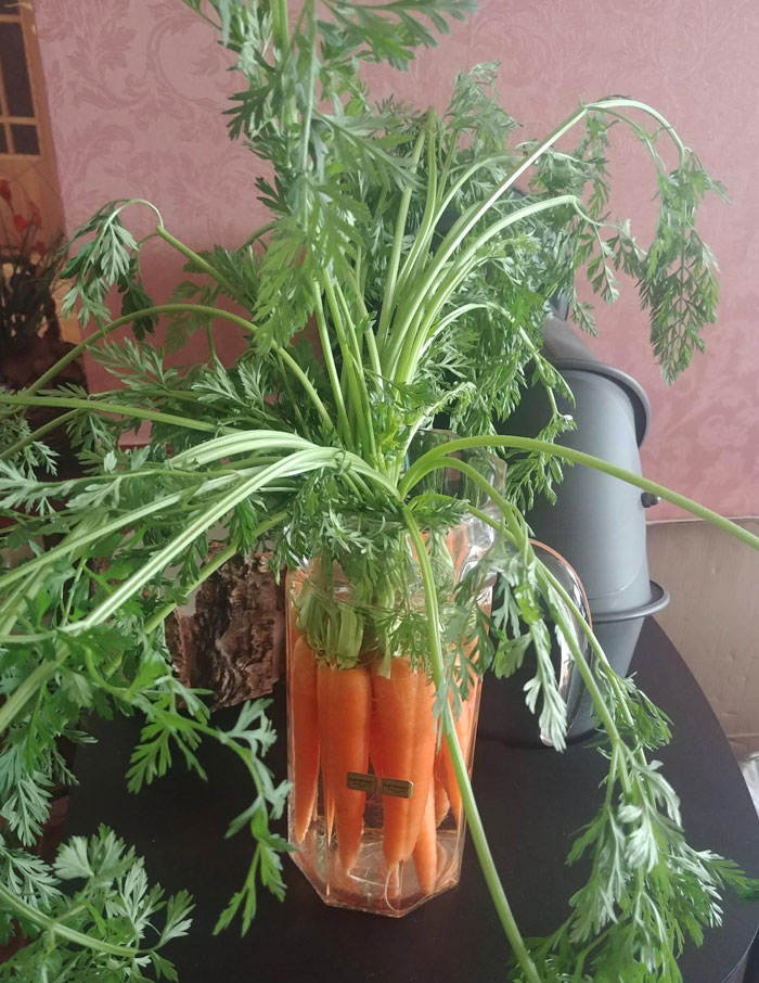 My Mother: "I Found This New Website, Pinterest, It's Very Cool". 10 Minutes Later: Easter Decorations