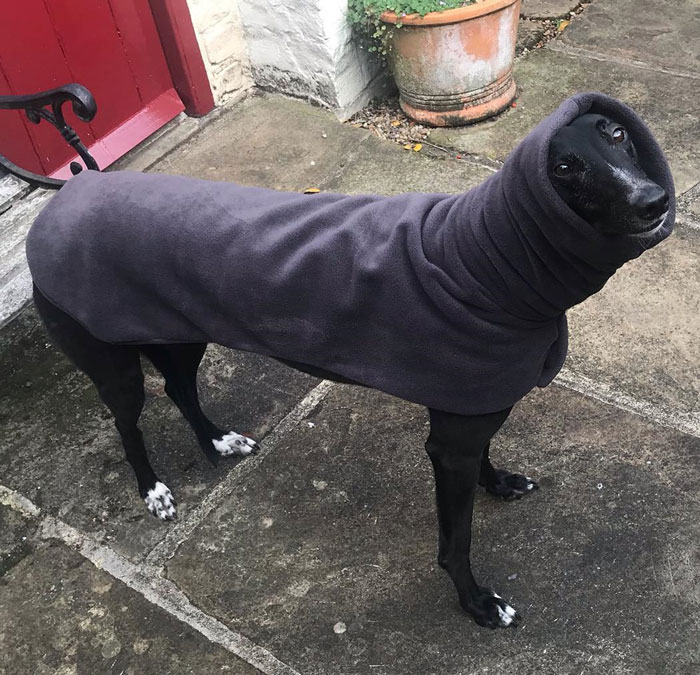 Auntie Misjudged The Length Of My Neck