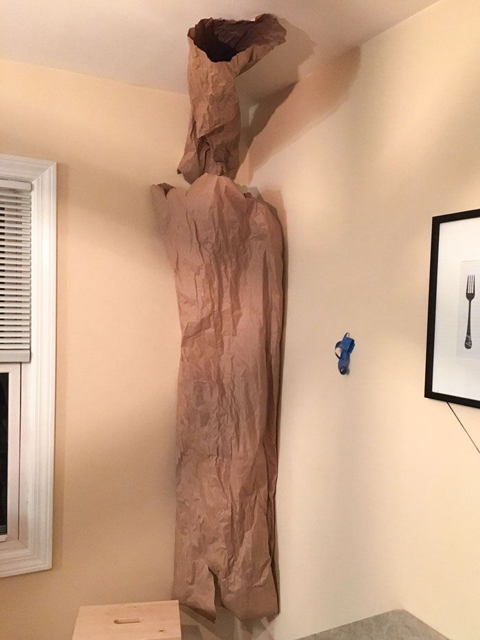 Thank You Pinterest And Social Media For Giving My Wife The Idea To Make A Paper Tree For My Son's Winnie-The-Pooh-Themed Second Birthday