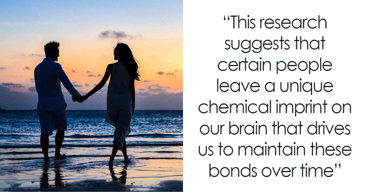 Scientists Offer Insight On Neurological Effects Of Orgasms In Monogamous Relationships