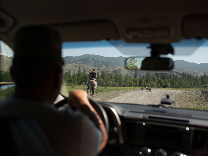 “Frozen Pizza”: 31 Products That Have Gotten Better Over The Years